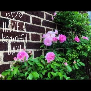 Meet your Posher, Karen